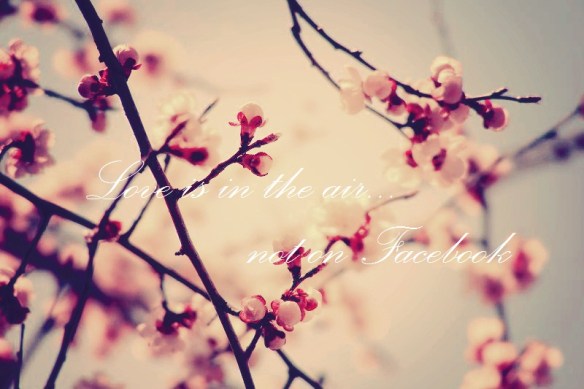 Love_is_in_the_air_by_betyzuzukid
